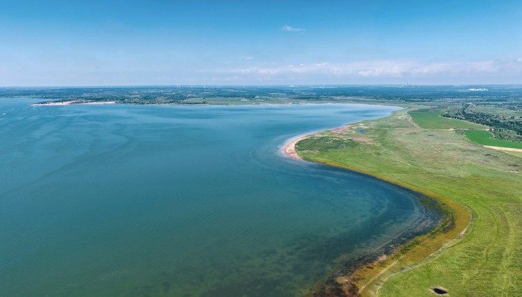 img, 低碳健康的, 特别独特