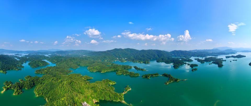 的看好, 鱼菜共生, 文化