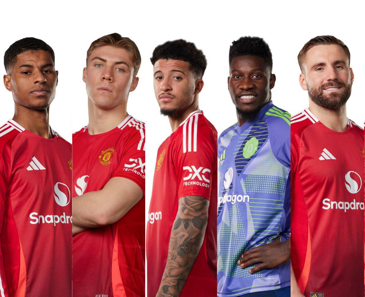 他说被森林, 队上赛季排 他说被森林, 队上赛季排